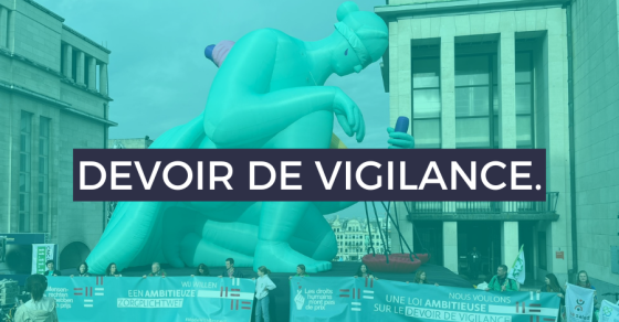 Devoir De Vigilance