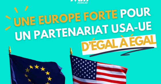 Vignettes Site Web